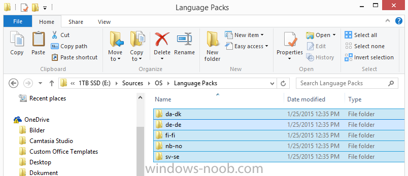 Language Packs temp folder.png