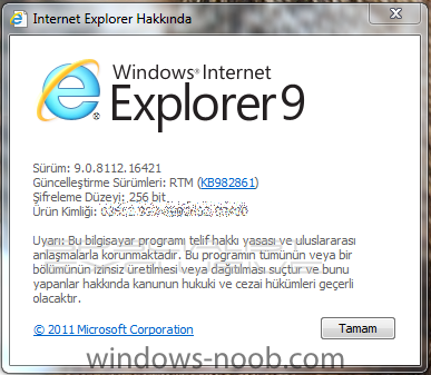 IE-9-RTM.png