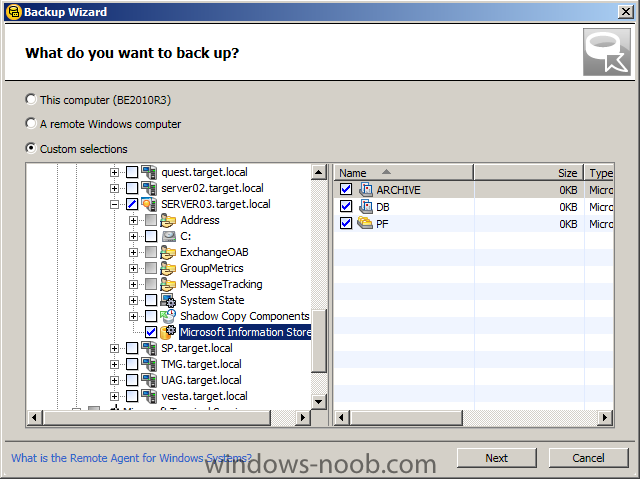 backup exec 2010 live update