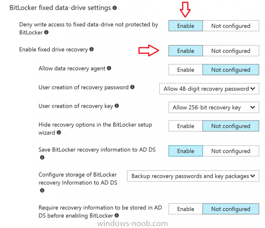 bitlocker fixed drive settings.png